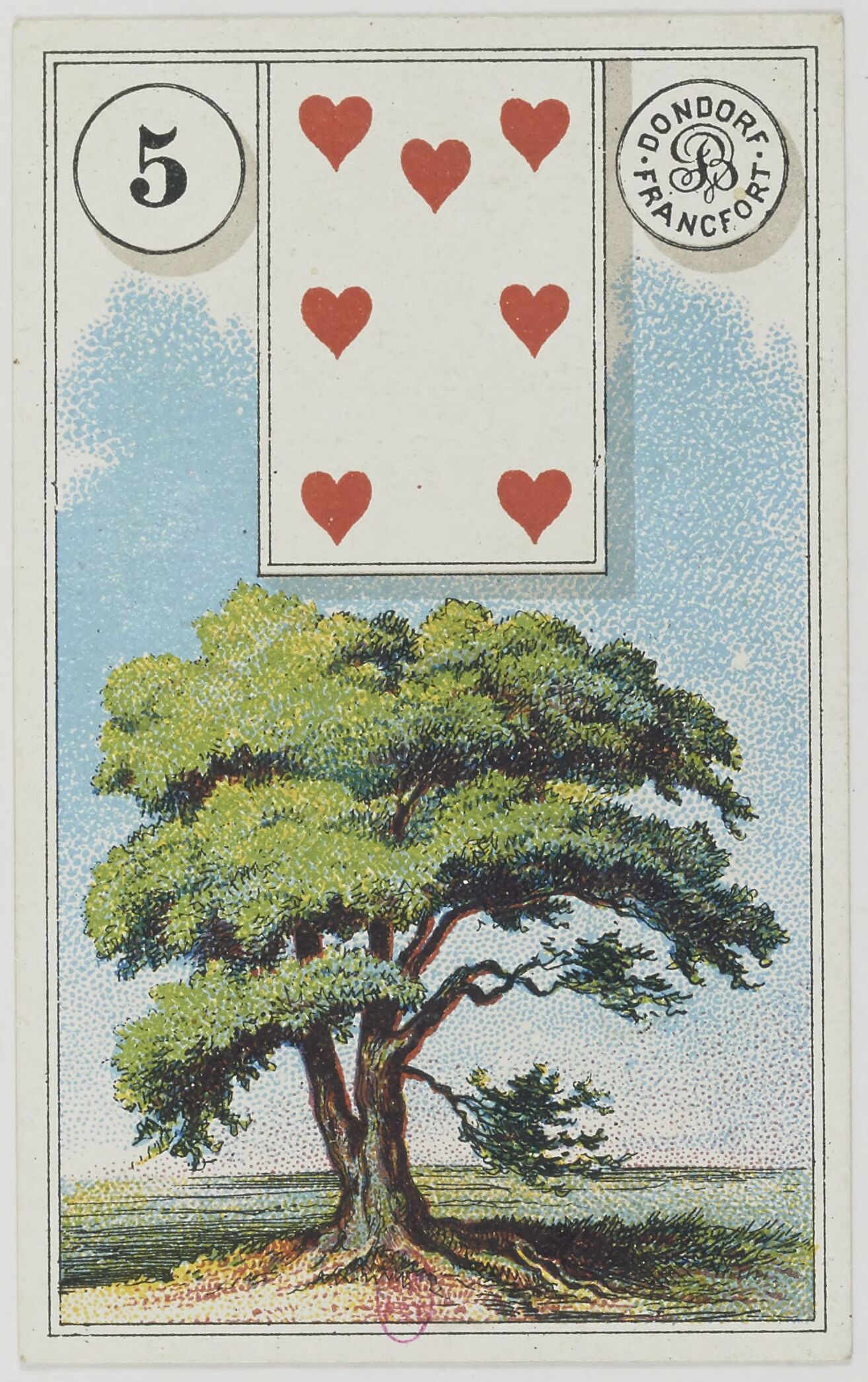 Дърво